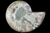Agatized Ammonite Fossil (Half) - Madagascar #83876-1